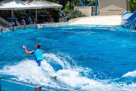 Orlando, Florida. July 29, 2019. Trainer mounted to dolphin, circling in the pool at Dolphin Days show at Seaworldのeditorial素材