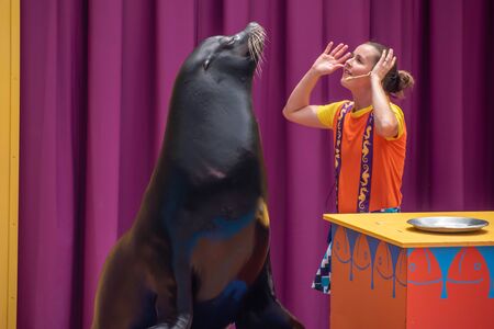 Orlando, Florida. July 26, 2019. Lovable sea lion plays with smiling coach in Sea Lion High show at Seaworld 4のeditorial素材