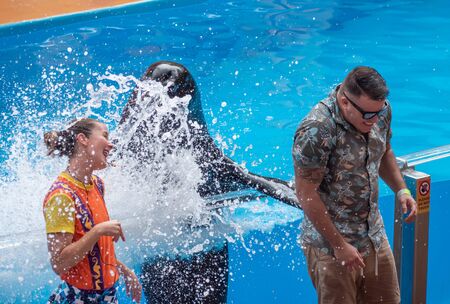 Orlando, Florida. July 26, 2019. Lovable sea lion splashing the public man with his fin in Sea Lion High show at Seaworld 2のeditorial素材