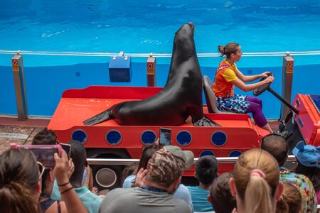 Orlando, Florida. July 26, 2019. Sea lion entering the show with woman trainer in colorful car in Sea Lion High show at Seaworld 1のeditorial素材