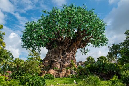 Orlando, Florida. August 14, 2019. Beautiful view of Tree of Life at Animal KIngdom at Walt Disney World area (3)のeditorial素材
