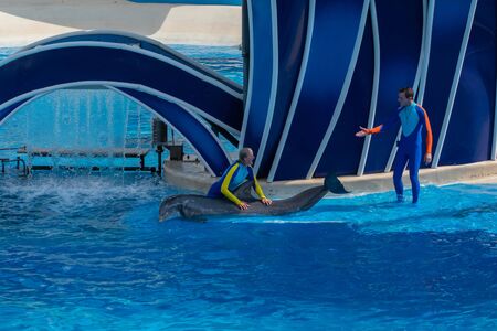 Orlando, Florida. September 30, 2019. Nice dolphin posing out of the water at Seaworld (1)のeditorial素材