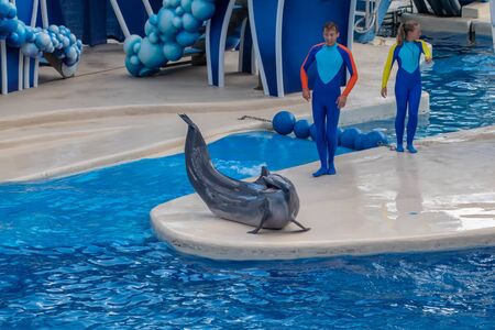 Orlando, Florida. September 30, 2019. Trainer giving directions to dolphin out of the water at Seaworld (21)のeditorial素材