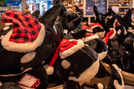 Orlando, Florida. November 09, 2019. Killer whales with Santa Claus hat in store at Seaworldのeditorial素材