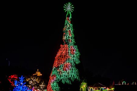 Orlando, Florida. November 24, 2019. Top view of colorful and illuminated Christmas Tree at Seaworld 12のeditorial素材