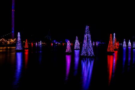 Orlando, Florida. November 24, 2019. Colorful Sea of Trees in SeaWorlds Christmas Celebration 36のeditorial素材