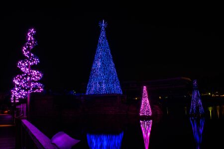 Orlando, Florida. November 23, 2019. Colorful Sea of Trees in SeaWorlds Christmas Celebration 3のeditorial素材