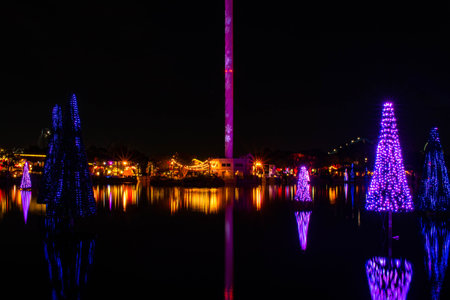 Orlando, Florida. November 23, 2019. Colorful Sea of Trees in SeaWorlds Christmas Celebration 109