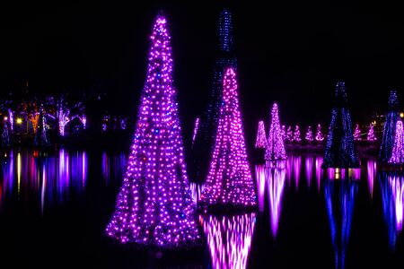 Orlando, Florida. November 23, 2019. Colorful Sea of Trees in SeaWorlds Christmas Celebration 111のeditorial素材
