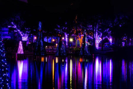 Orlando, Florida. November 23, 2019. Colorful Sea of Trees in SeaWorlds Christmas Celebration 112
