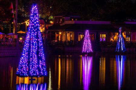 Orlando, Florida. November 23, 2019. Colorful Sea of Trees in SeaWorlds Christmas Celebration 113のeditorial素材