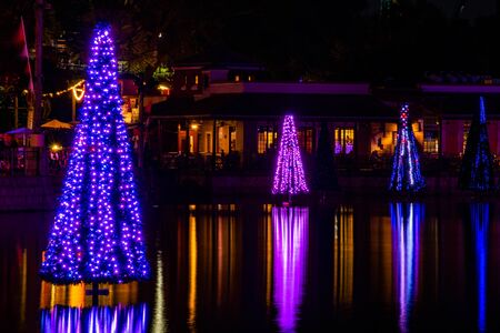 Orlando, Florida. November 23, 2019. Colorful Sea of Trees in SeaWorlds Christmas Celebration 114のeditorial素材