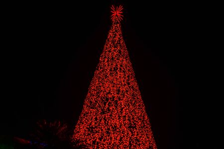 Orlando, Florida. November 23, 2019. Colorful Sea of Trees in SeaWorlds Christmas Celebration 159のeditorial素材