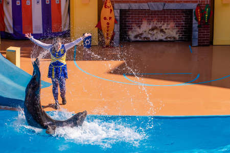 Orlando, Florida. December 07, 2019. Sea lion jumping at Seaworld (138)のeditorial素材