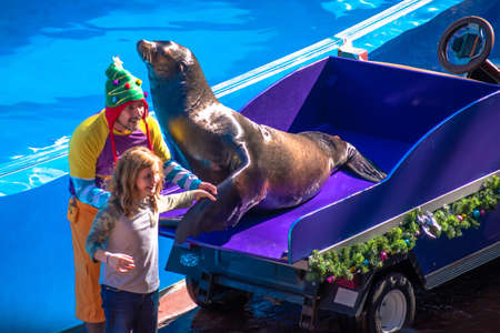 Orlando, Florida. December 07, 2019. Sea Lion and trainer High Christmas Special Show sign at Seaworld (3)のeditorial素材