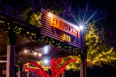 Orlando, Florida. December 30, 2019. Top view of Flamecraft Bar and illuminated season trees at Seaworldのeditorial素材