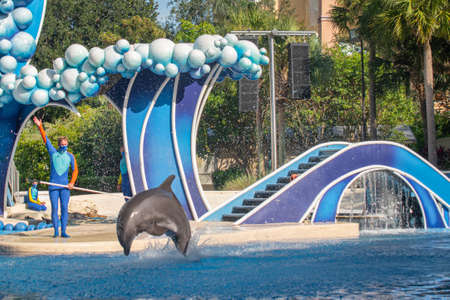 Orlando, Florida. November 20, 2020. Dolphins jumping in Dolphins Day Show at Seaworld (116)のeditorial素材