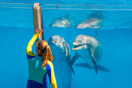 Orlando, Florida. November 25, 2020. Trainer interacting with nice dolphins in Dolphin Days Show at Seaworld. (two)のeditorial素材