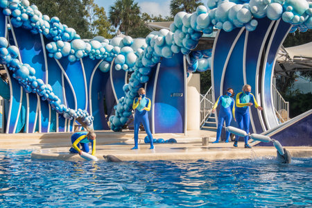 Orlando, Florida. November 20, 2020. Dolphins jumping in Dolphins Day Show at Seaworld (131
