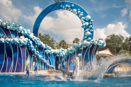 Orlando, Florida. November 20, 2020. Dolphins jumping in Dolphins Day Show at Seaworld (74)