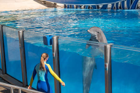 toのeditorial素材