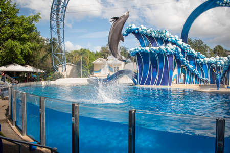 Orlando, Florida. November 20, 2020. Dolphins jumping in Dolphins Day Show at Seaworld (58)のeditorial素材