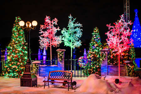 Orlando, Florida. December 30, 2020. Christmas seasons at Seaworld (1)のeditorial素材