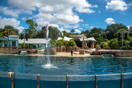 Orlando, Florida. September 28, 2021. Dolphin Adventures Show at Seaworld (7)のeditorial素材