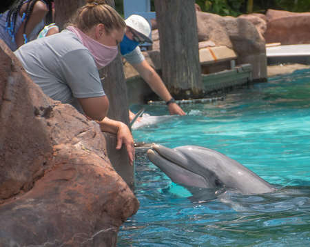 Orlando, Florida. September 28, 2021. Dolphin encounter in Nursery at Seaworld (26)のeditorial素材