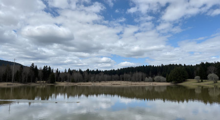 Landscape view of a lake in the middle of a forest.の素材