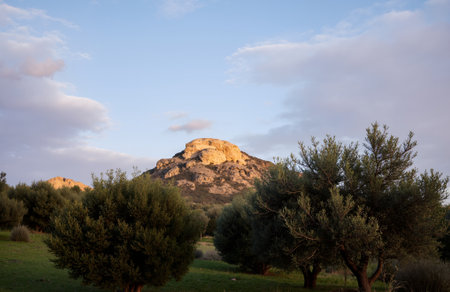 Landscape with mountain and olive grove at sunset, Crete, Greeceの素材