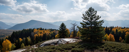 panoramic view of autumn mountain landscape with forest and blue skyの素材