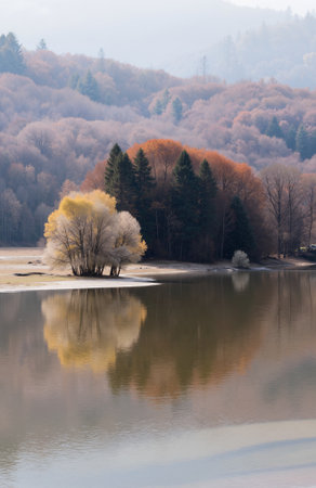 Autumn landscape with lake and trees in foggy morning, Polandの素材