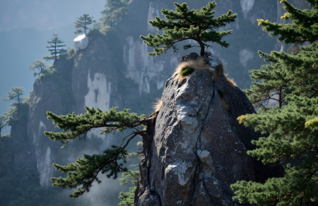 Mount Huangshan, Anhui Province, China, Asiaの素材