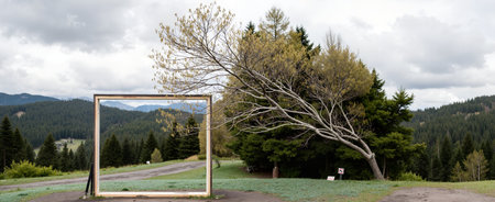 Wooden frame and tree in a park in the middle of the mountainsの素材