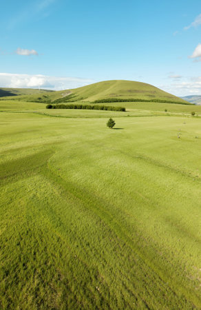 Aerial view of a green meadow in the countryside with blue skyの素材