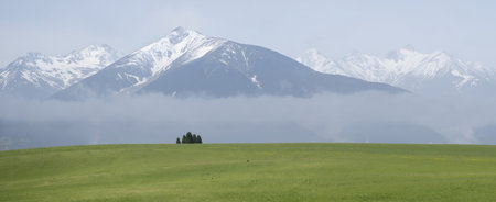 Mountain landscape with green meadow and snow-capped peaksの素材