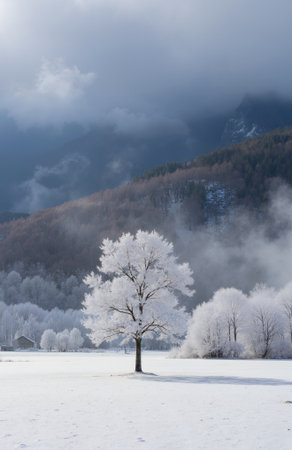 Frosty winter landscape with foggy trees and mountains in backgroundの素材