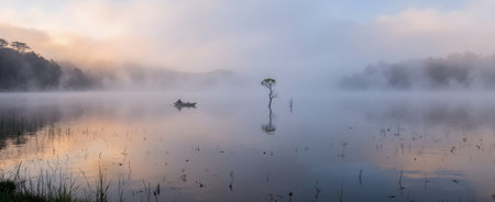 Panorama of a misty lake in the morning at sunrise.の素材