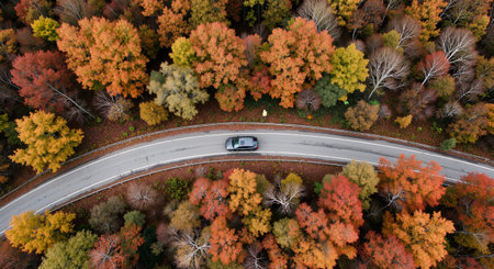 Aerial view of the road in autumn forest with colorful trees.の素材