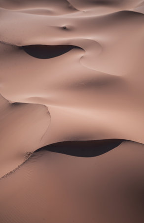 Sand dunes in the Sahara desert, Morocco. Vertical shot.の素材