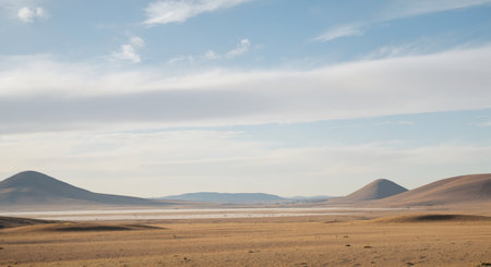 Panoramic view of the Namib Desert in Namibia, Africaの素材