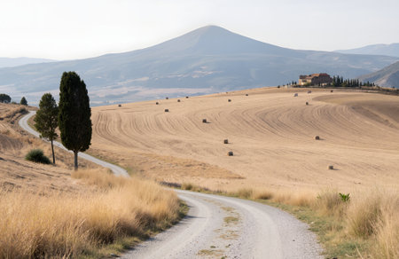 Rural landscape in Val d'Orcia, Tuscany, Italyの素材