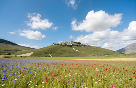 Piano Grande di Castelluccio (Perugia, Umbria, Italy), panoramic viewの素材