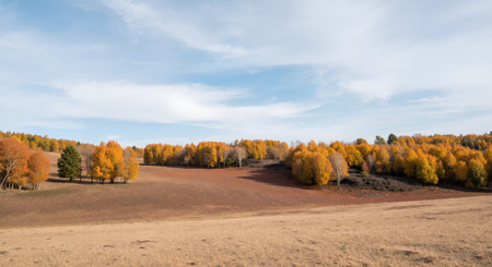 panoramic view of the autumn forest in the steps of Kazakhstanの素材