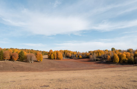 Autumn landscape in the steppe against the blue sky and cloudsの素材