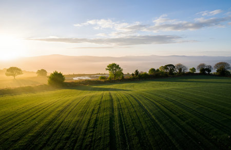 Aerial view of sunset over green field with trees and fog in the backgroundの素材