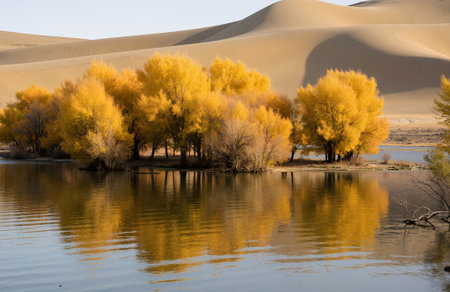 Autumn in the Deadvlei, Namib Naukluft National Park, Namibiaの素材