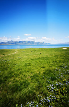Lake Tekapo, South Island, New Zealand. Spring landscape.の素材