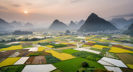 Panoramic aerial view of rice fields in Yangshuo, Guilin, Chinaの素材